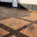 IMG_0655.jpeg